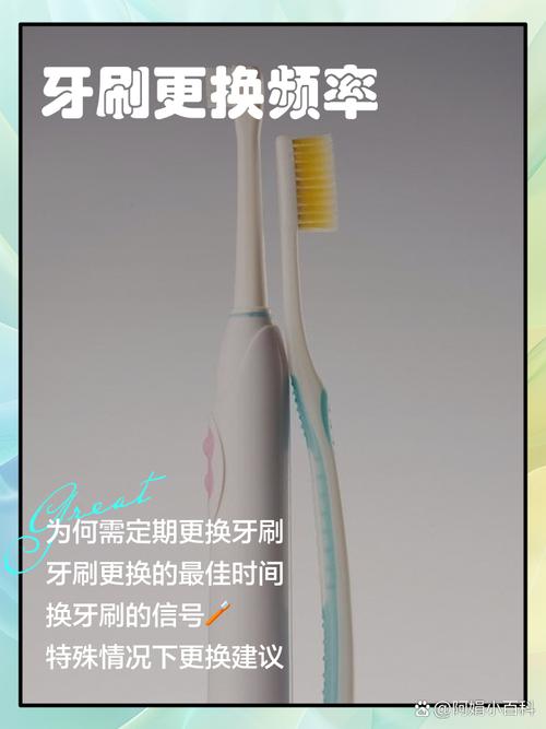 牙刷更换周期的临床依据