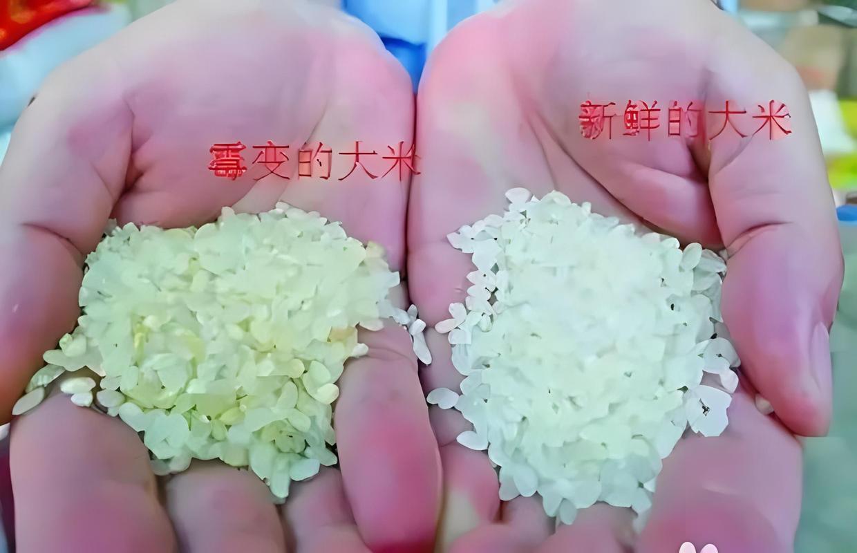 判断大米陈化的感官测试