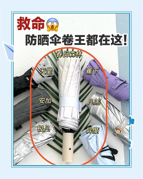 雨伞用完这样晾晒能延长3倍寿命