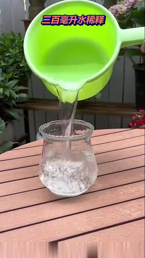 花盆里的杂草除不尽?白醋喷洒有效抑制