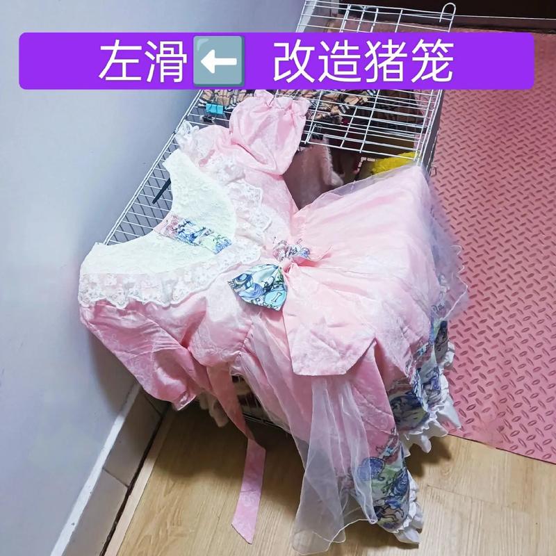 旧衣物制作宠物窝的创意方法