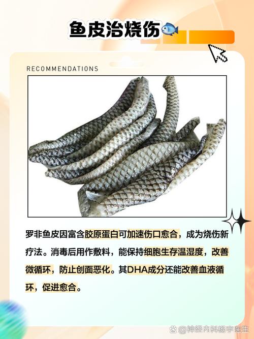 鱼皮创可贴：生物材料的神奇应用​