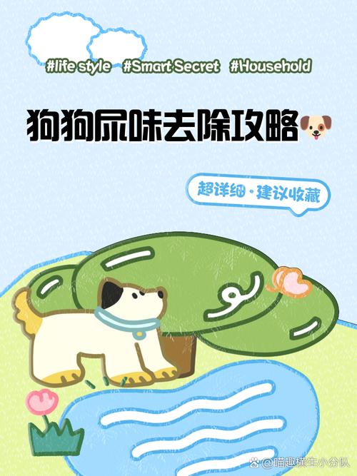 快速去除宠物尿渍的方法