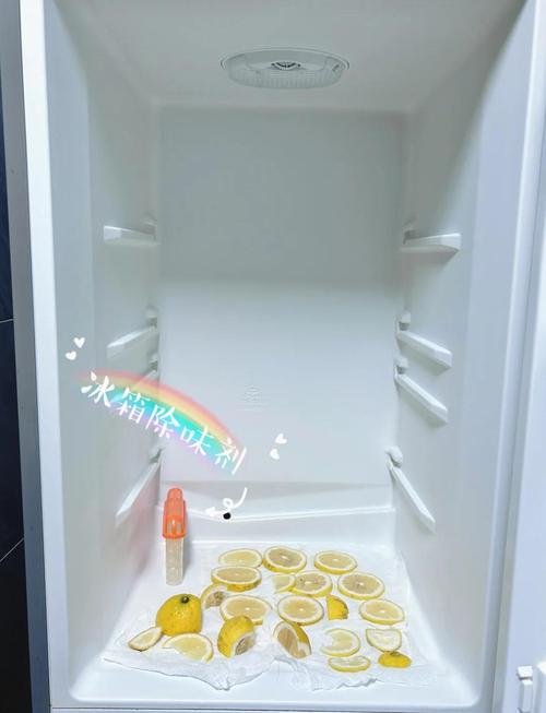 牙膏去除冰箱异味的实验对比