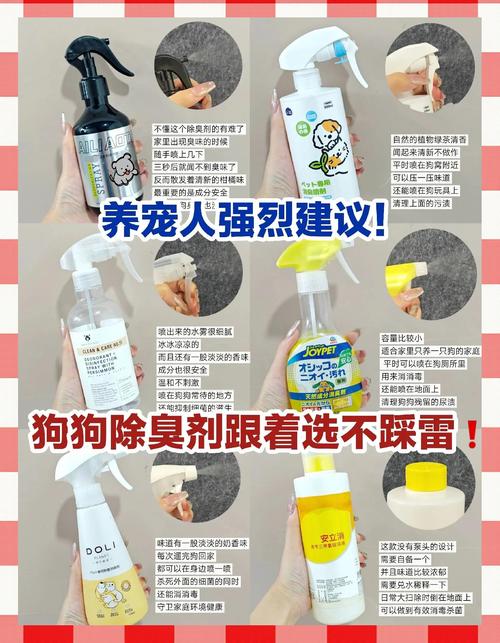 快速去除宠物异味的妙招