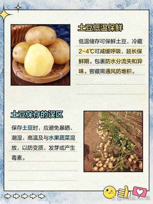 旧报纸保存土豆的原理