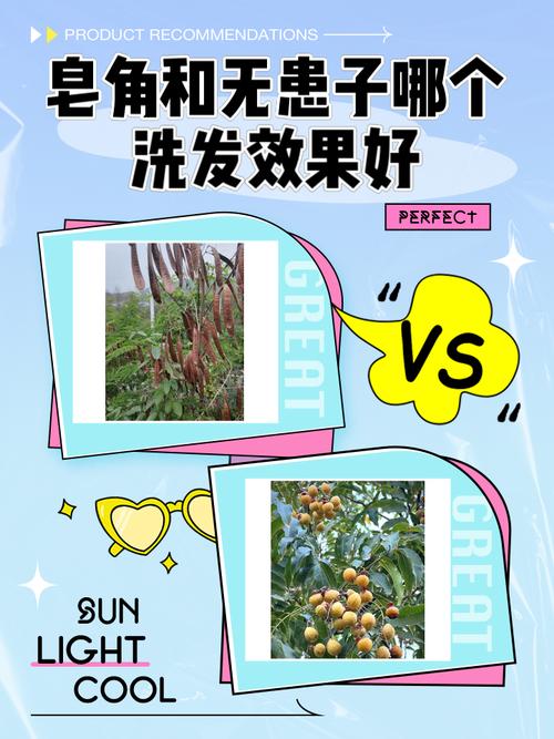 洗发两次的清洁效果对比