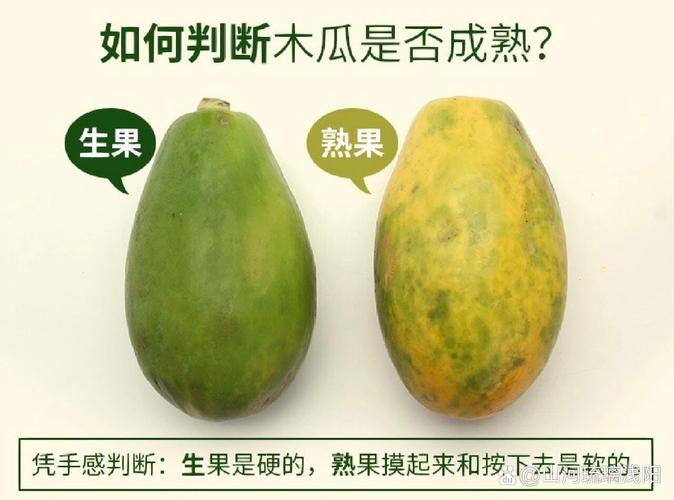 香蕉催熟木瓜要密封?乙烯浓度检测