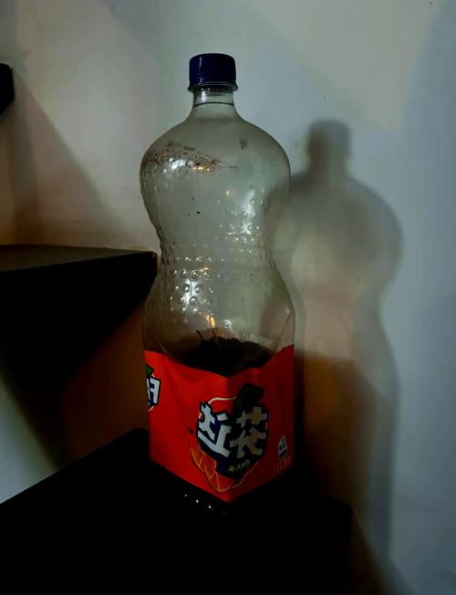 塑料瓶重复使用前消毒？煮沸vs紫外线