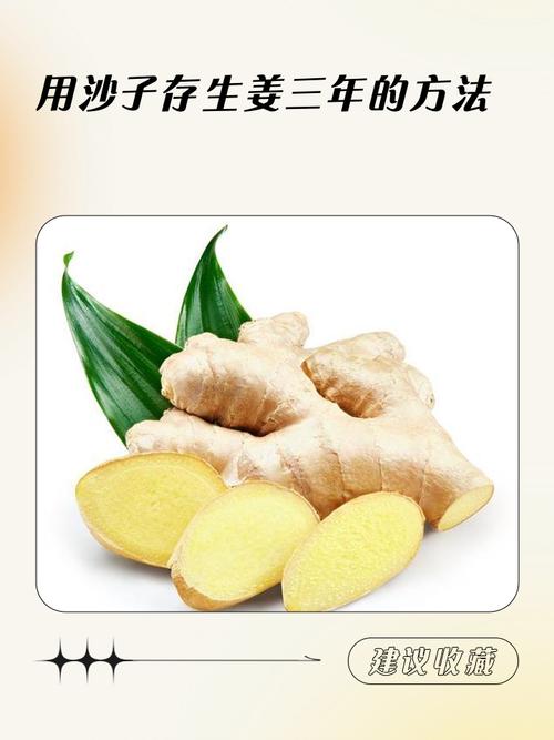 正确保存生姜：沙子VS纸巾实测对比