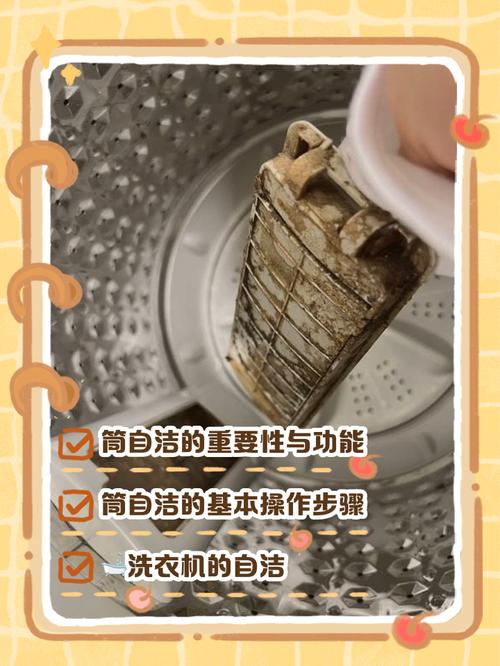 洗衣机“筒自洁”功能多久用一次？