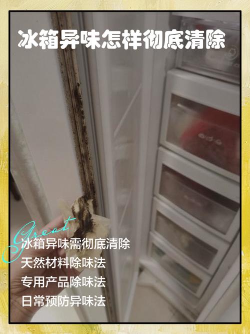 冰箱异味根源大揭秘