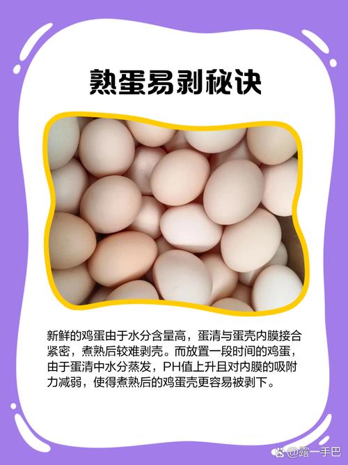 煮鸡蛋冷水泡还是自然凉?剥壳技巧