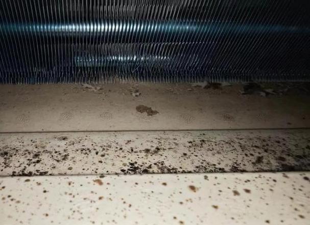 空调被收纳前不做这步,来年全是霉斑