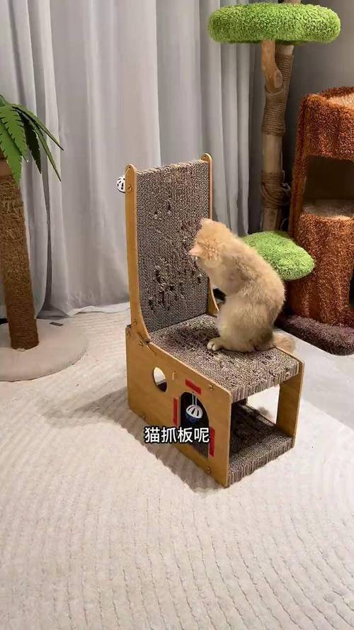 猫咪总挠沙发？自制防抓板让家具不再 “伤痕累累”​