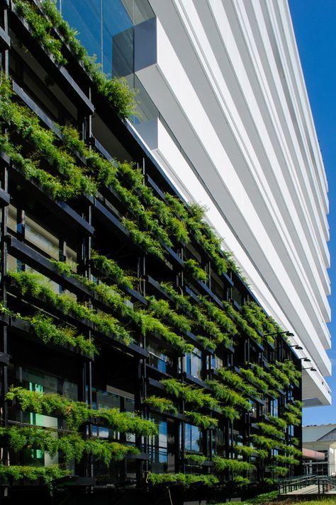 城市垂直绿化:用科技打造绿色生态建筑