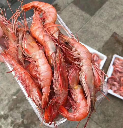 冰箱冻死的海鲜能不能吃