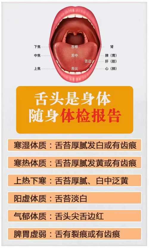 晨起舌苔反映消化系统状态