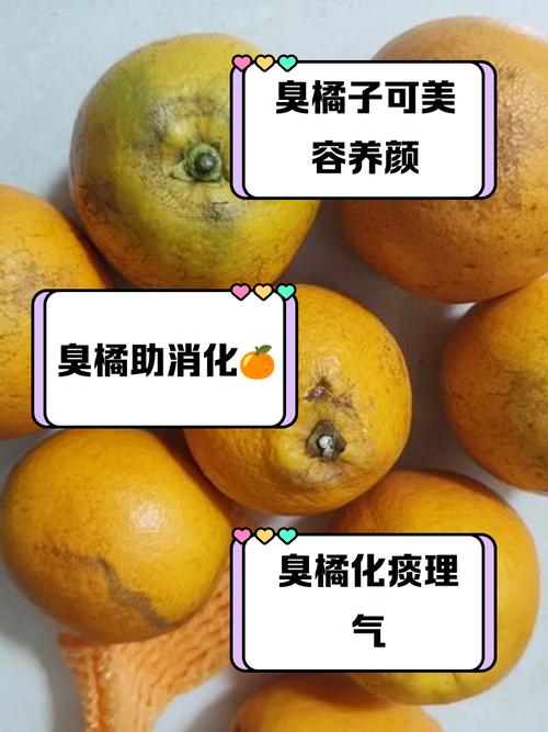 花盆里的肥料太臭？橘子皮混合发酵没异味​