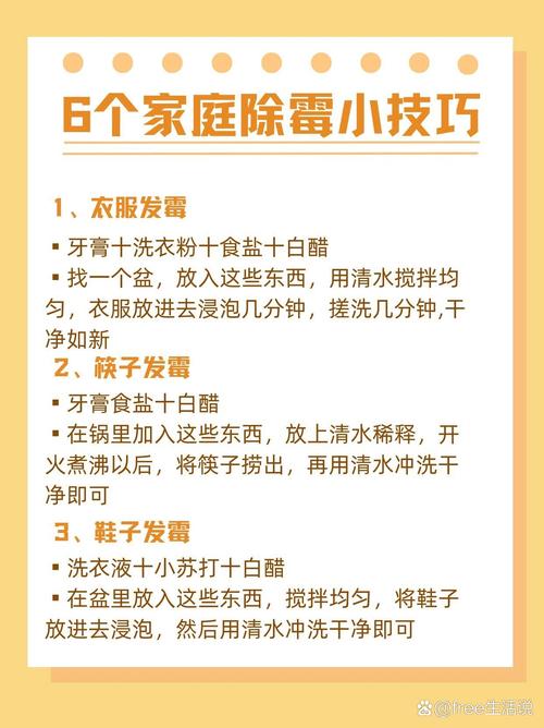 家庭防潮防霉的实用技巧