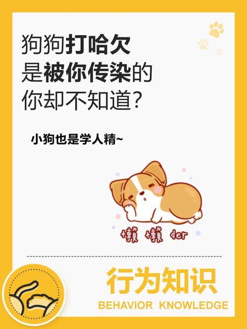 打哈欠会传染的原因
