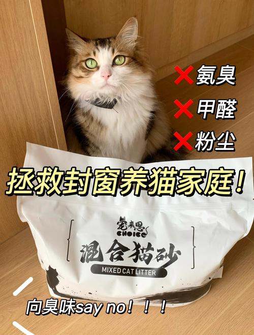 仓鼠笼异味重？木屑 + 猫砂混搭除臭效果翻倍​