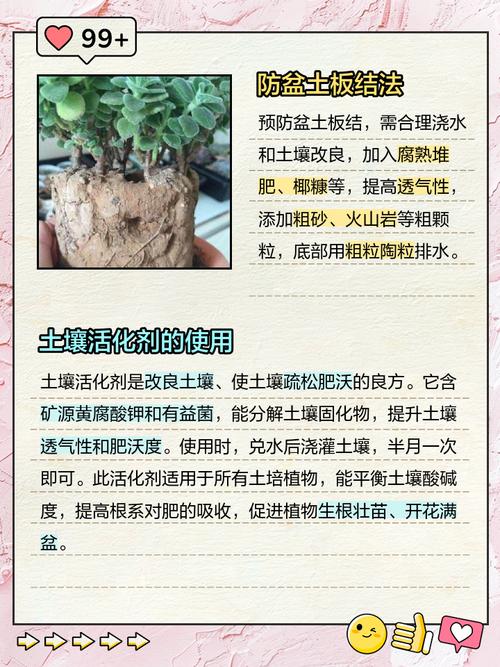 花盆里的土总是板结？加点这个疏松又肥沃​