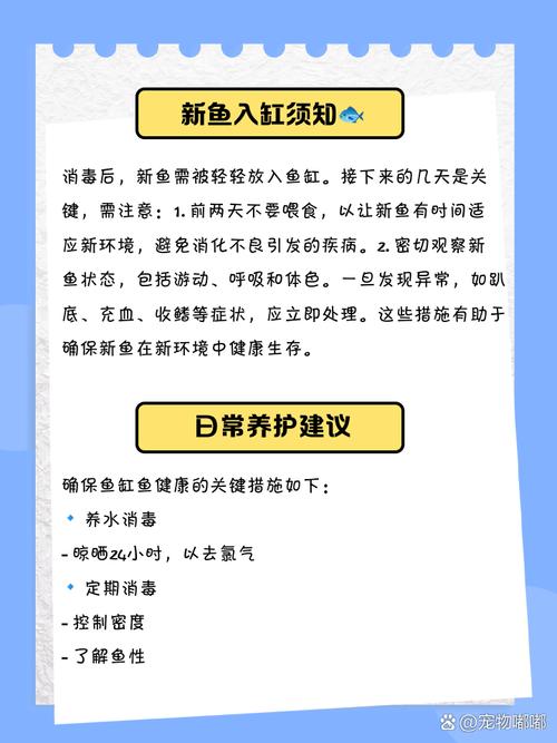 金鱼烂尾病防治？高锰酸钾消毒 + 隔离饲养法​