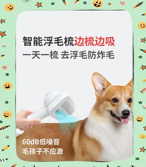 智能宠物设备:全方位呵护毛孩子的科技神器