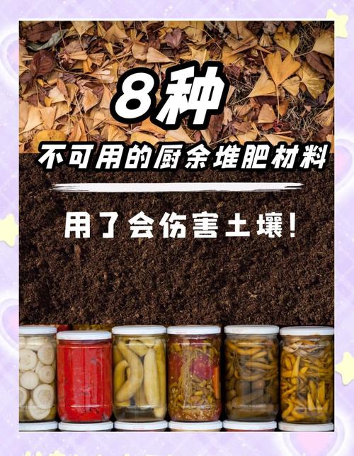 花盆里的土不够肥?厨余垃圾堆肥超实用