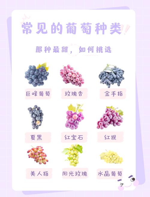 教你挑选新鲜葡萄的 3 个要点