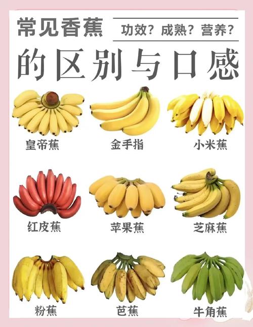 教你挑选新鲜香蕉的实用诀窍