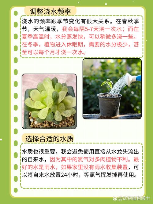 为什么不能用硬水浇灌多肉植物？
