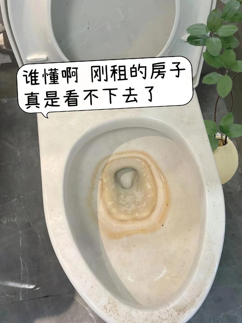 快速去除马桶顽固黄渍的 “闪电战”