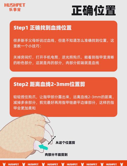 指甲刀连接轴断裂怎么办?更换整个指甲刀
