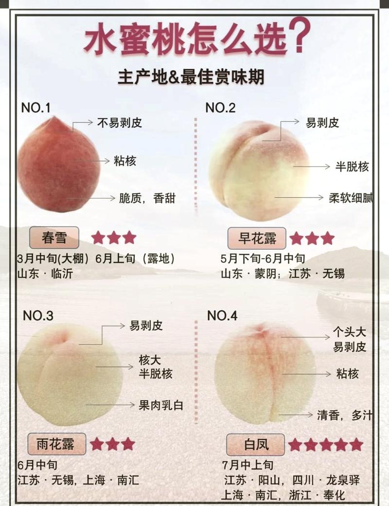 教你挑选新鲜桃子的「果尖硬度测试」