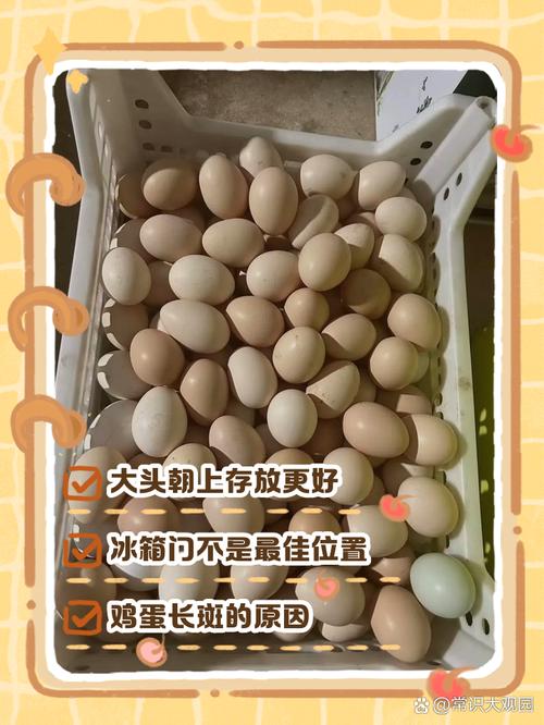 鸡蛋保鲜怎么放?大头朝上竖放延长保质期
