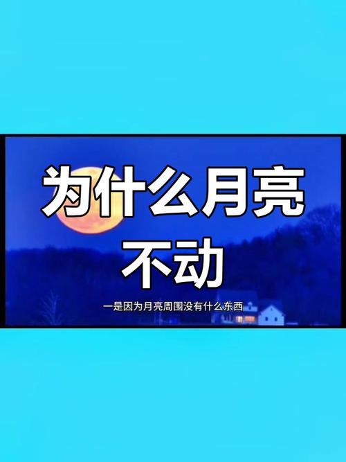 为什么月亮会跟着人走？