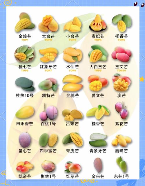 教你挑选新鲜芒果的「果身微软判断法」