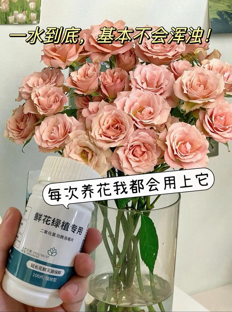 鲜花买回来很快枯萎怎么保鲜？糖水 + 食盐延长花期