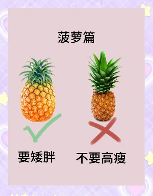 教你挑选新鲜菠萝的「叶片硬度测试」