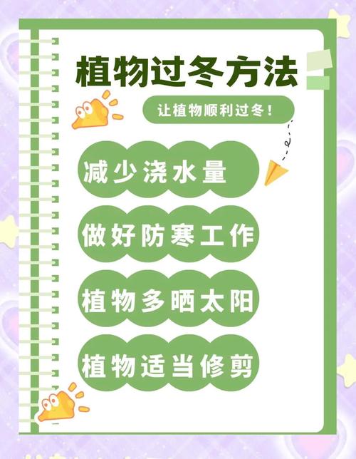 为什么冬天要给植物减少施肥频率？