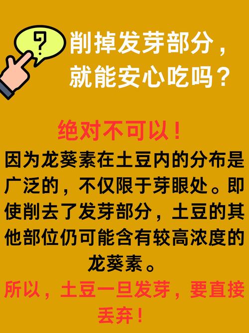 土豆发芽了还能吃吗？挖掉芽眼 + 高温烹饪