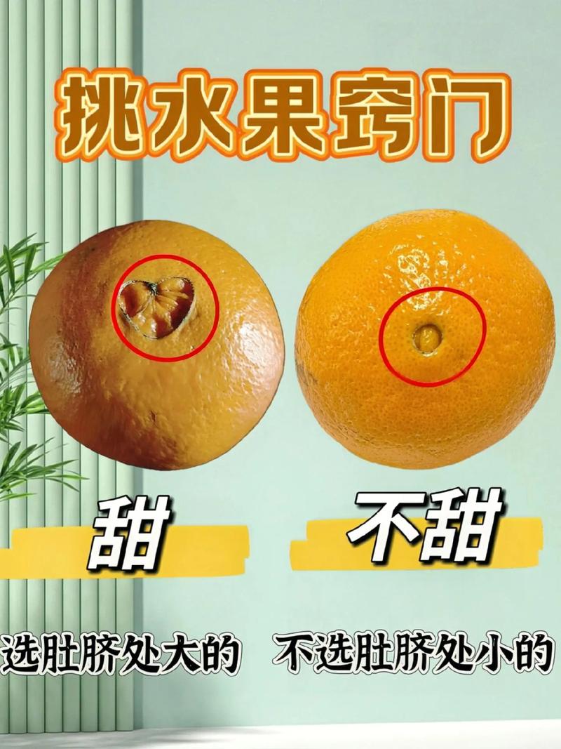 教你挑选新鲜橙子的「肚脐内陷法则」