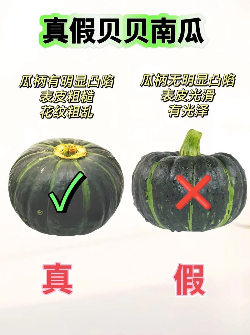 如何挑选新鲜的南瓜块状食材原料？