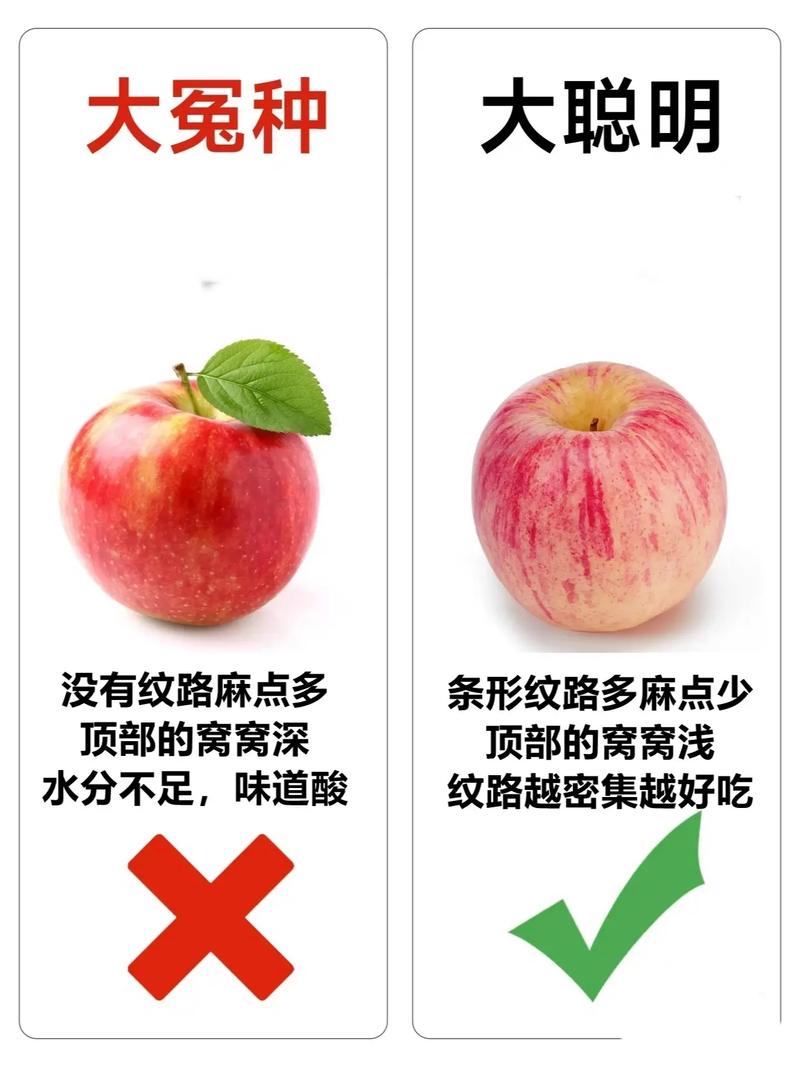教你挑选新鲜苹果的 3 个要点