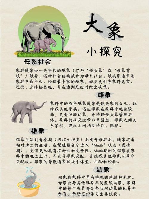 为什么大象会有长睫毛？