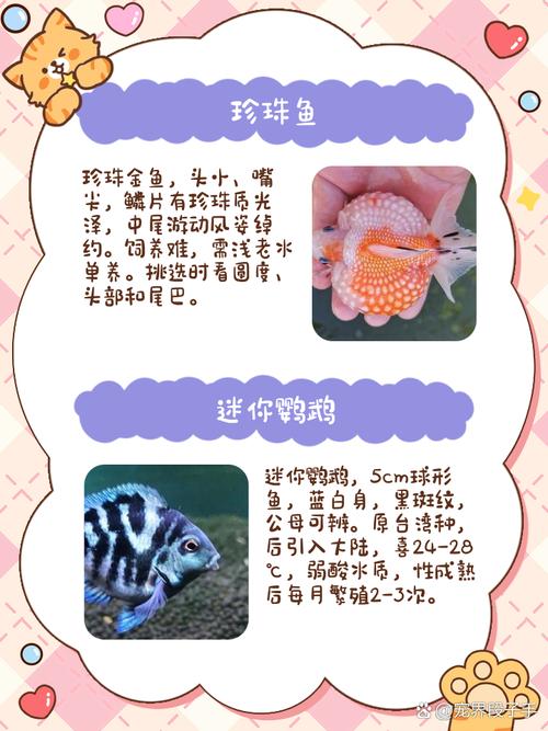 为什么不能用硬水养观赏鱼？