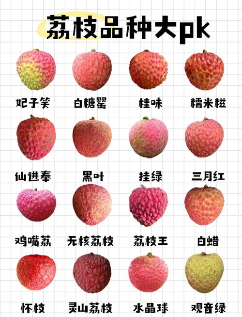 教你挑选新鲜荔枝的「果皮弹性测试」