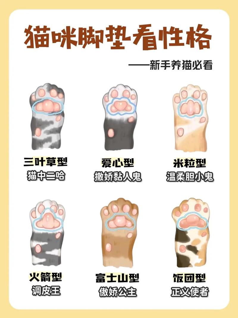 为什么猫会有磨爪习惯？